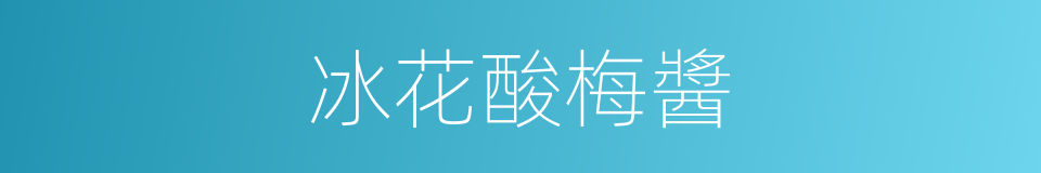 冰花酸梅醬的同義詞