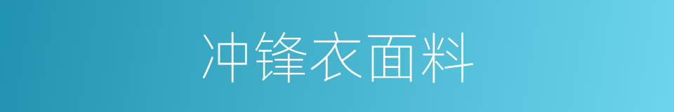 冲锋衣面料的同义词