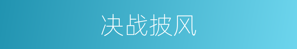 决战披风的同义词