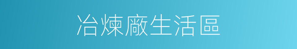 冶煉廠生活區的同義詞