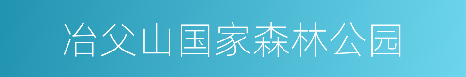 冶父山国家森林公园的同义词