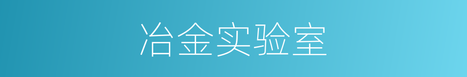 冶金实验室的同义词