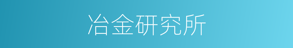 冶金研究所的意思