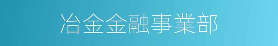 冶金金融事業部的同義詞