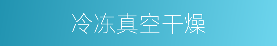 冷冻真空干燥的同义词