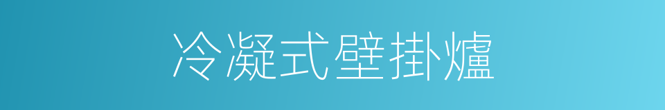 冷凝式壁掛爐的同義詞