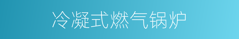 冷凝式燃气锅炉的同义词