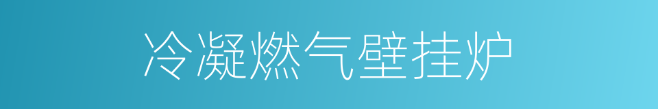 冷凝燃气壁挂炉的同义词