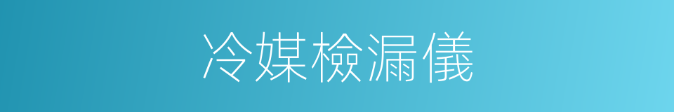 冷媒檢漏儀的同義詞