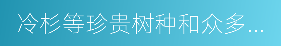 冷杉等珍贵树种和众多的桦树林的同义词