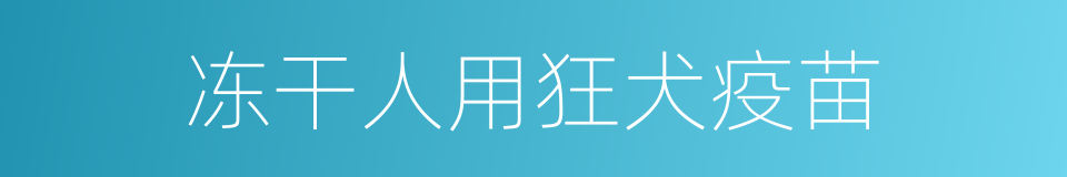 冻干人用狂犬疫苗的同义词