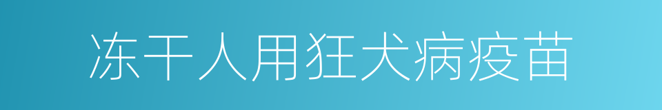 冻干人用狂犬病疫苗的同义词