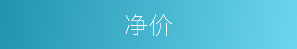 净价的意思
