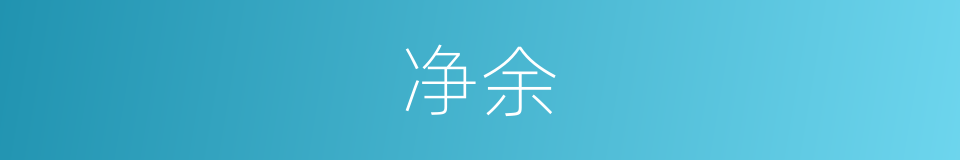 净余的意思