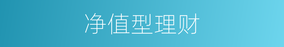 净值型理财的同义词