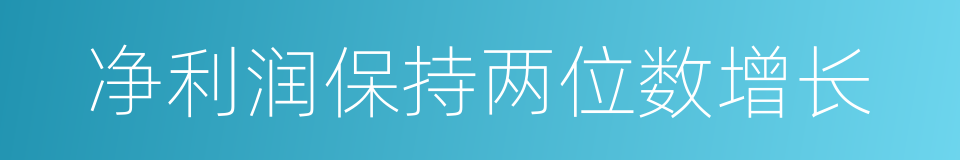 净利润保持两位数增长的同义词
