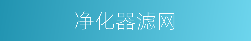 净化器滤网的同义词
