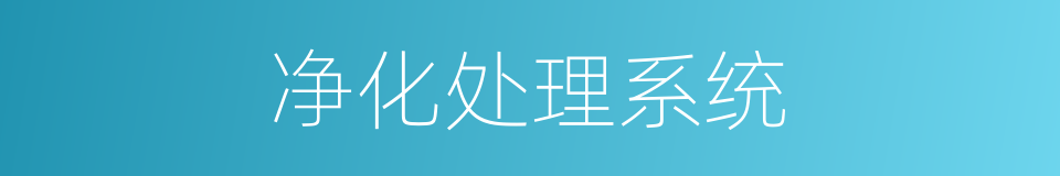 净化处理系统的同义词