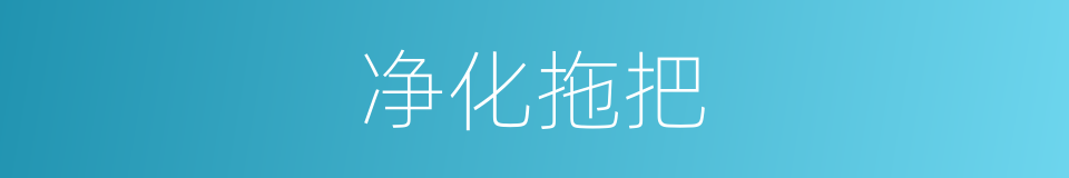 净化拖把的同义词