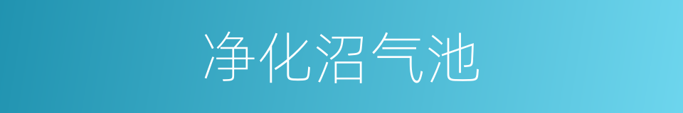 净化沼气池的同义词