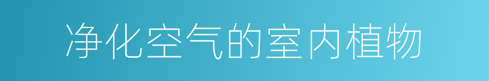 净化空气的室内植物的同义词