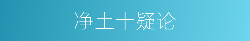 净土十疑论的同义词
