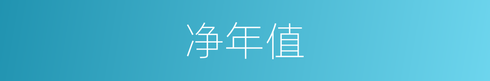 净年值的同义词