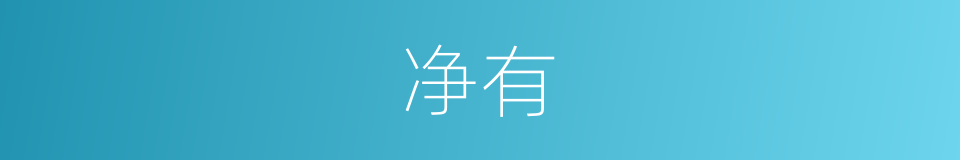 净有的同义词