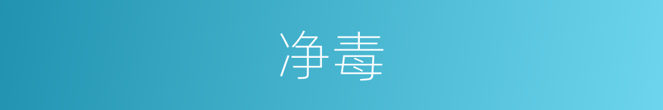 净毒的同义词