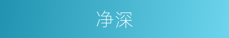 净深的同义词
