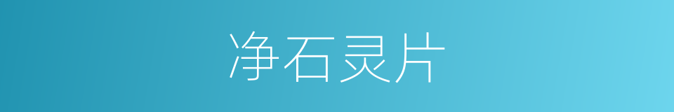 净石灵片的同义词