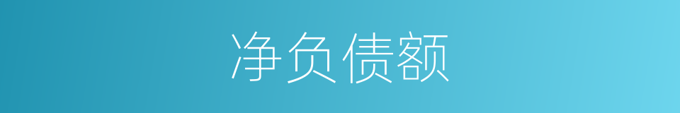 净负债额的同义词