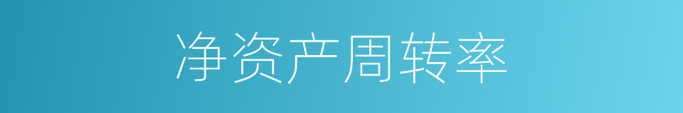 净资产周转率的同义词