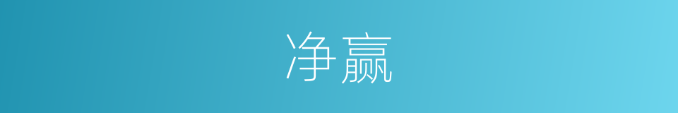净赢的意思