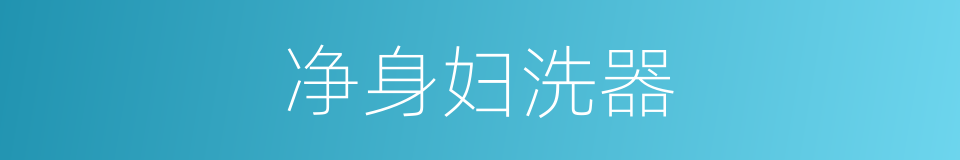 净身妇洗器的同义词
