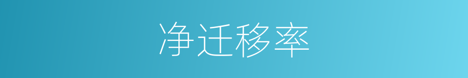 净迁移率的同义词