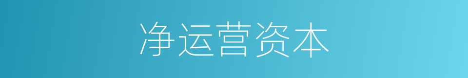 净运营资本的同义词