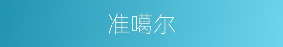 准噶尔的意思