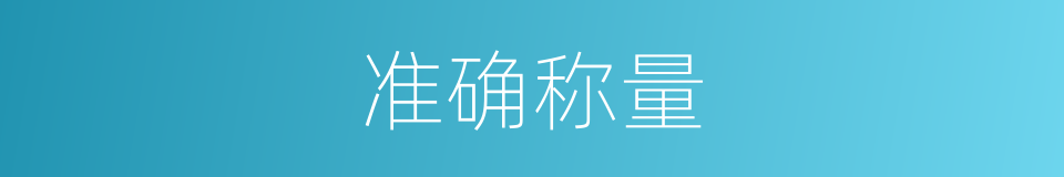 准确称量的同义词