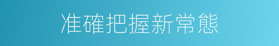 准確把握新常態的同義詞
