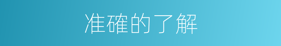 准確的了解的同義詞