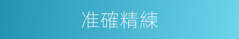准確精練的同義詞
