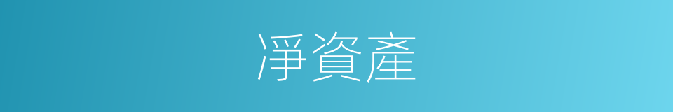 凈資產的同義詞