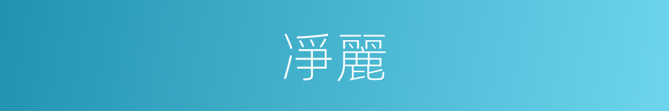凈麗的意思