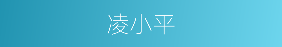 凌小平的同义词