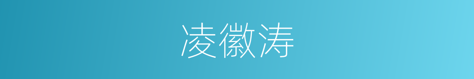 凌徽涛的同义词