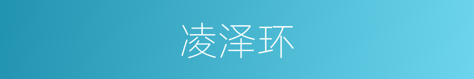 凌泽环的同义词