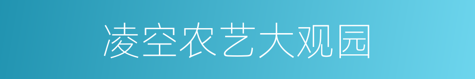 凌空农艺大观园的同义词