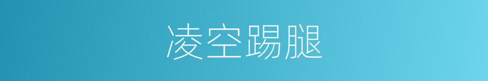 凌空踢腿的同义词