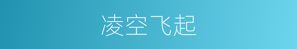 凌空飞起的意思